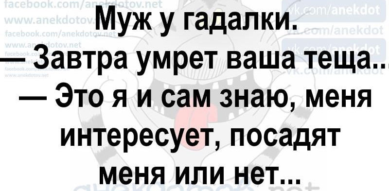 Муж у гадалки Завтра умрет ваша теща Это я и сам знаю меня интересует посадят меня или нет