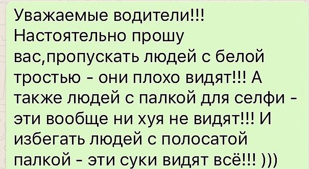 Уважаемые водители Настоятельно прошу васпропускать людей с белой тростью они плохо видят А также людей с палкой для селфи эти вообще ни хуя не видят И избегать людей с полосатой палкой эти суки видят всё