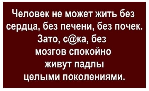 Человек не может жить без сердца без печени без почек Зато ска без мозгов спокойно живут падпы целыми поколениями