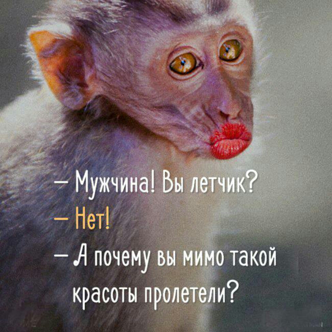 А поче красоты