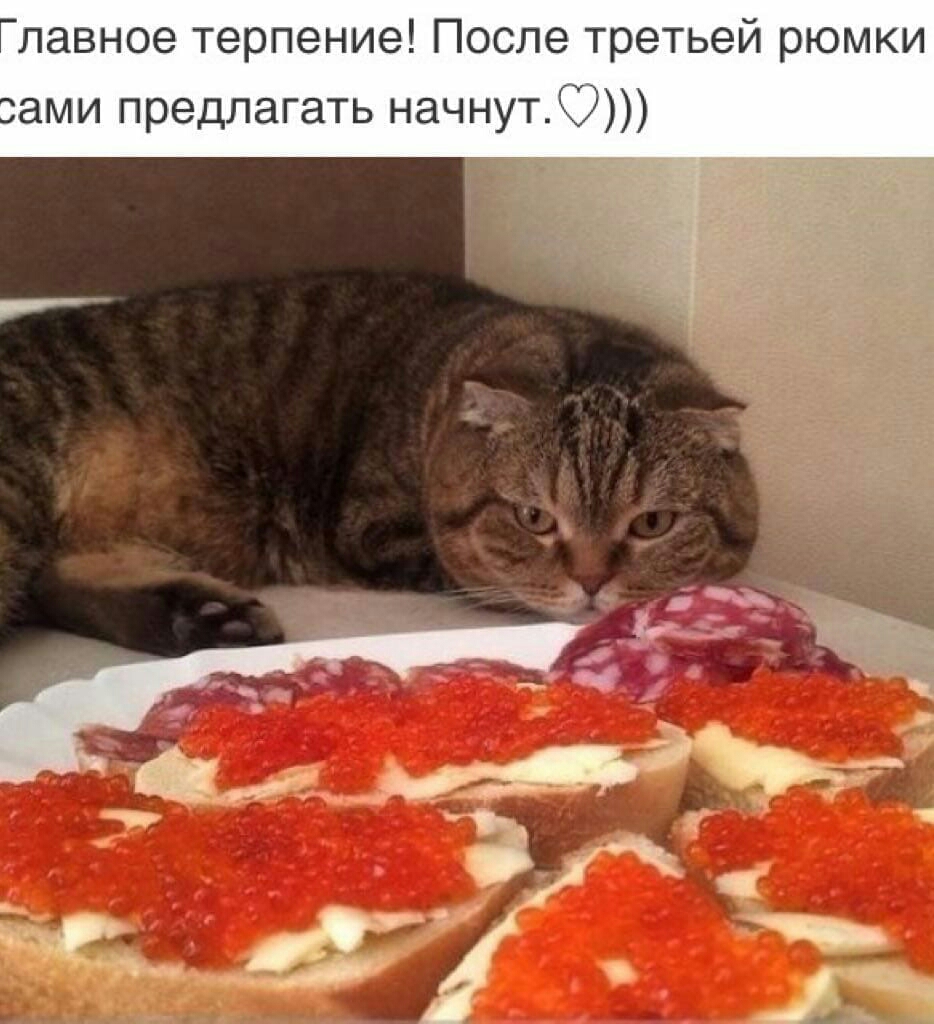 лавное терпение После третьей рюмки