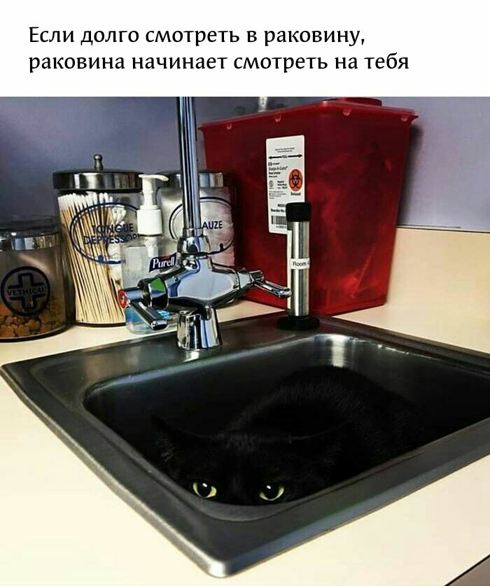 ЕСЛИ ДОЛГО смотреть В раковину раковина начинает СМОТРЕТЬ НЗ Тебя