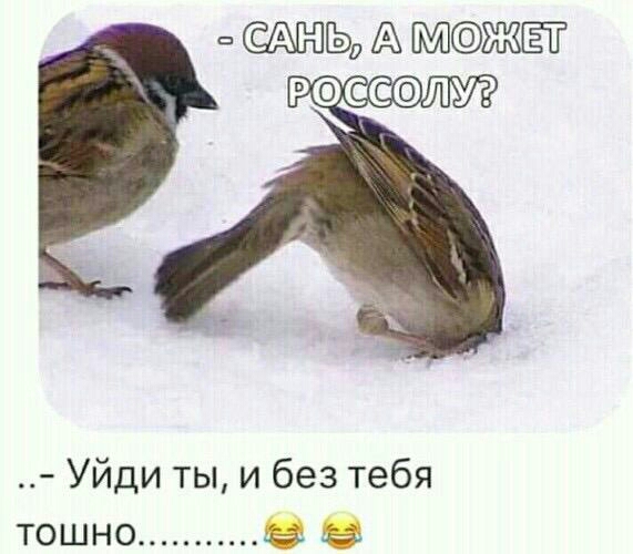 А ЖЁЁ Уйди ты и без тебя тошно в в