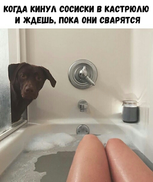 КОГДА КИНУА сосиски В КАСТРЮМО И ЖАЕШЬ ПВКА ОНИ СВАРЯТСЯ