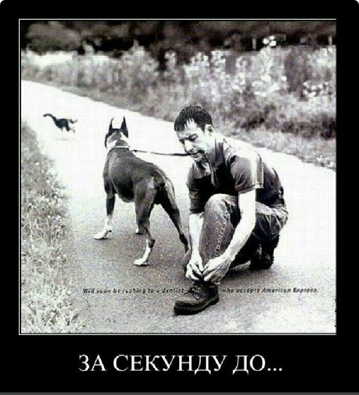 ЗА СЕКУНДУ ДО