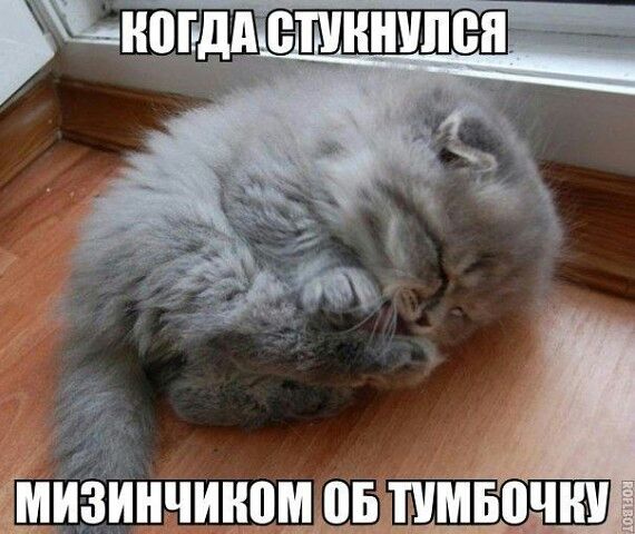 йзИнчииптм піырчпш