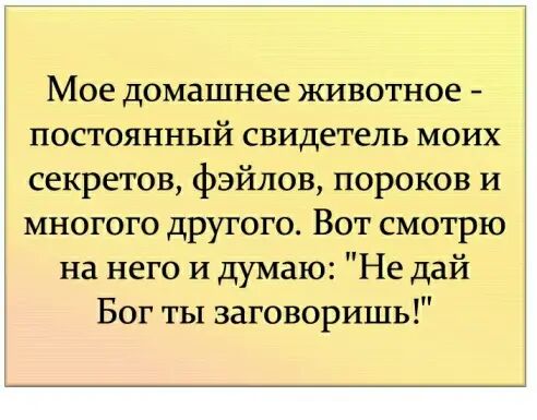 Мое домашнее животное постоянный свидетель моих секретов файлов пороков и многого другого Вот смотрю на него и думаю Не дай Бог ты заговоришь