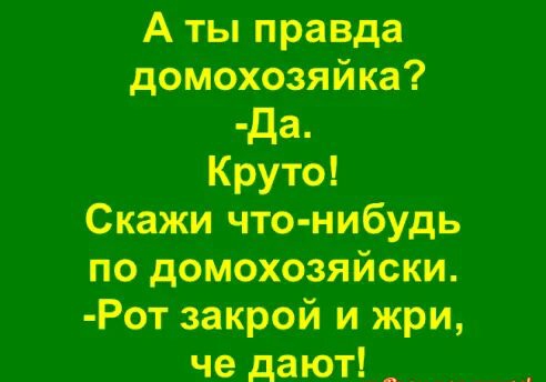 А ты правда доМохозяйКа да_ Круто СКажи что нибудь по домохозяйски Рот закрой и жри че дают _