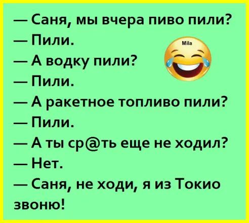 Саня мы вчера пиво пили Пили А водку пили 1 Пили А ракетное топливо пили Пили А ты срть еще не ходил Нет Саня не ходи я из Токио звоню