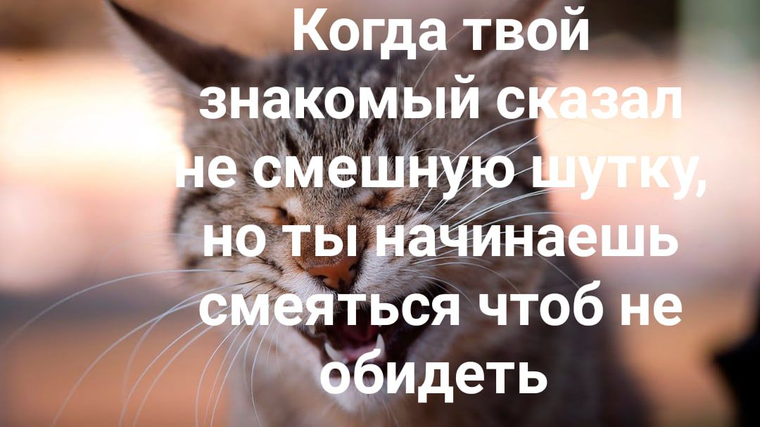 Когда твой знакомым с ться чтоб не бидеть