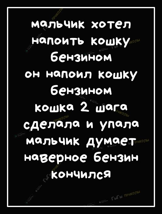 мальчик хотел напоить кошку Бензином он напоил Кошку Бензином Кошка 2 шага сделали и упало мальчик думает неверное Бензин кончился