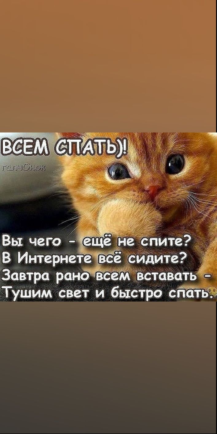 Завтра рано всем вставать Тушим свет и быстро спатЁЧЗ
