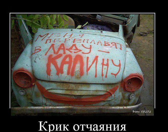 Крик отчаяния