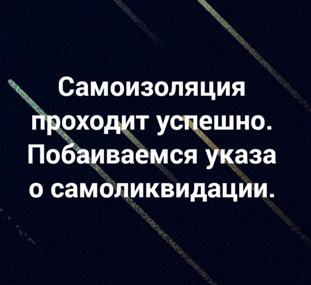 Самоизоляция 9ходит ущешно По а_иваемся Указа о самОликвидации