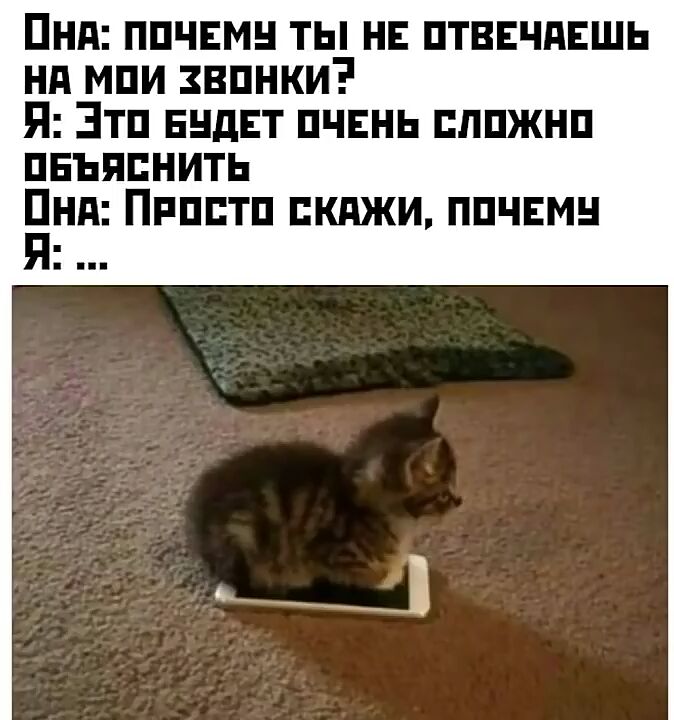 Пнд ппчвмн ты нь птвнчдЕшь нд мпи звпнки П Зтп ЕНдЕТ пчвнь пппжнп ПЕЬЯПНИТЬ БНП ПРППТП ПКПЖИ ППЧЕМН
