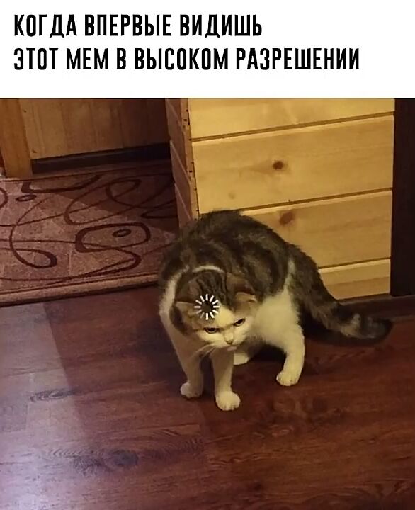КОГДА ВПЕРВЫЕ ВИДИШЬ ЗПП МЕМ В ВЫСПКПМ РАЗРЕШЕНИИ