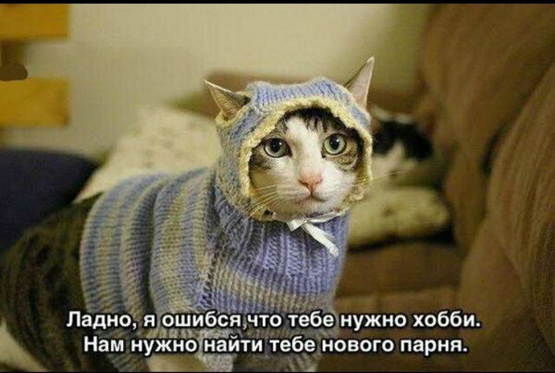 9 т Нам НУЖНОНЭИТИ тебеднового парня __ 3