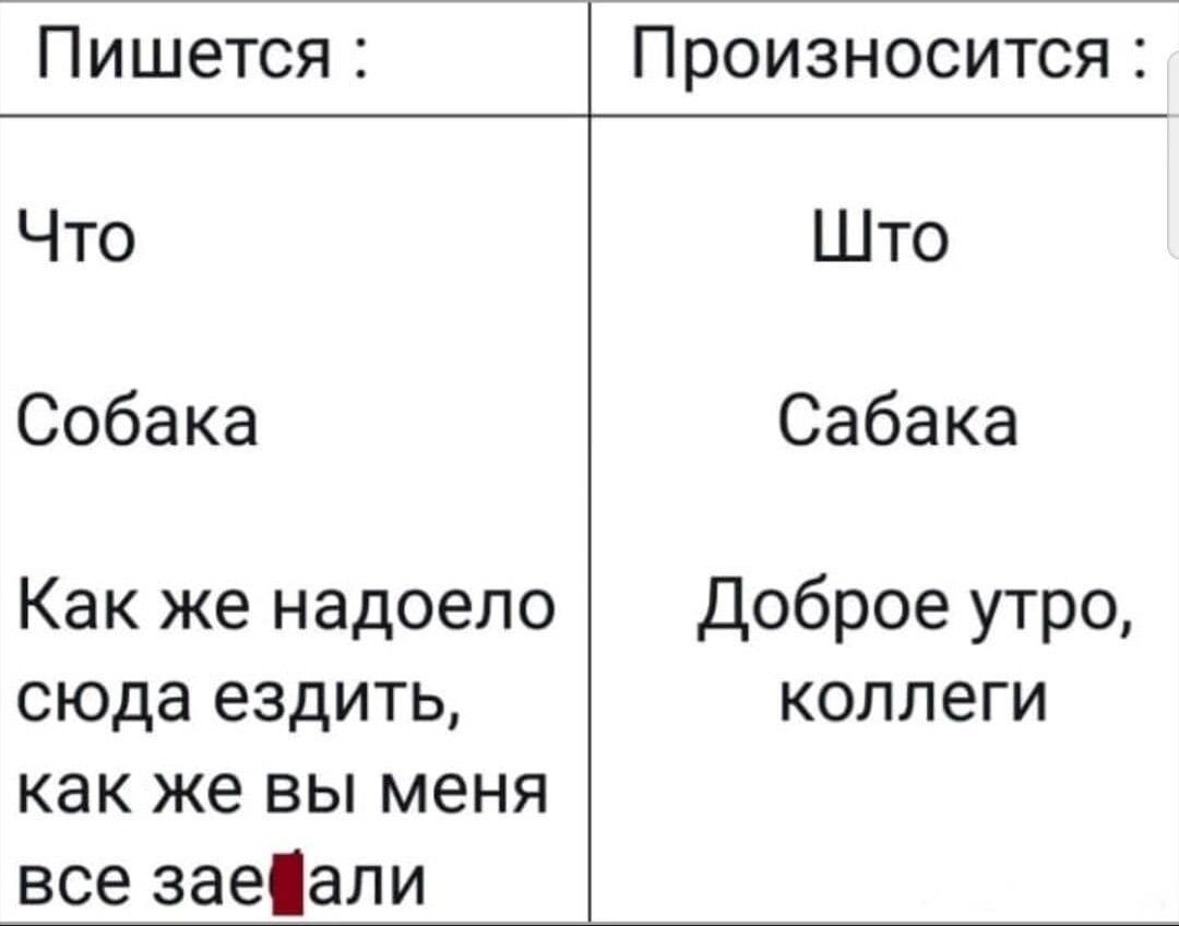 Пишется Произносится Что Што Собака Сабака Как же надоело Доброе утро сюда ездить коллеги как же вы меня все заеали