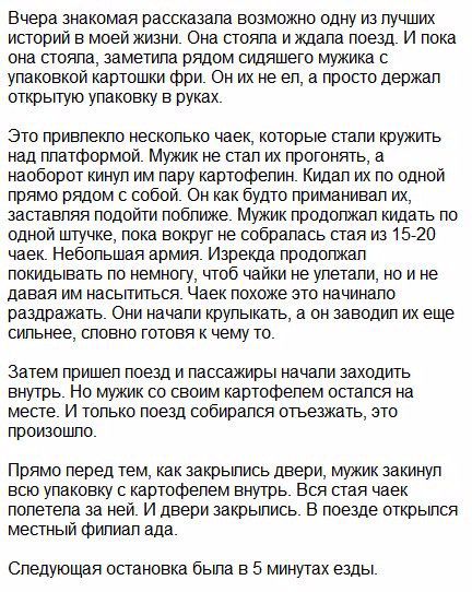 Вчера знакомая рассказала возможно одну из лучших историй в моей жизни Она стояла иждала поезд и пока она стояла заметила рядом сидящего мужика с упаковкой картошки фри Он их не ел а просто держал открьлую упаковку в руках Это привлекло несколько чаек которые стали кружить над платформой Мужик не стал их прогонять а наоборот кинул им пару картофепин кидал их ло одной прямо рядом с собой Он как буд