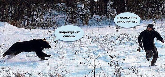 я осою и не _ зиме ничего подожди чп спрошу
