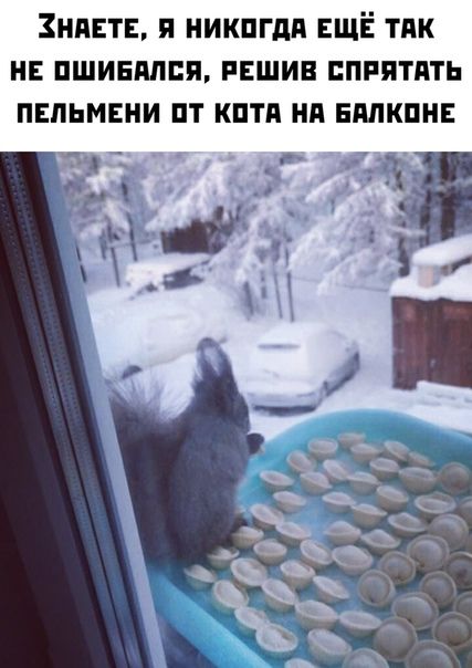 ЗНАЕТЕ Я НИКПГдП ЕЩЁ ТПК НЕ ПШИЕПЛПП РЕШИВ ППРПТПТЬ ПЕПЬМЕНИ ПТ КПТП Нд ЕМКПНЕ