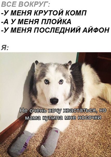 ВСЕ В округ У МЕНЯ крутой комп А у меня ПЛОЙКА У МЕНЯ послвдний АЙФОН Я