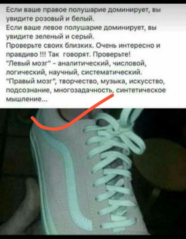 _ Если ваше правое полушарие доминирует вы шчппт позовыи и белый ЁСУИ НПШО ПГВЦо ПОПУШЗОПГ ЦП м ъ рцд пн увидит пик 1 гии Гри _ оп ч Ош 1НЦ и _ рь или днищу Чип мин 1н41Н7п м1 мы т 1 г с или пм г живым ПЧ 101 НН Ч Під Р 1 Пшпшг т ниш лич чм ог иг чтит