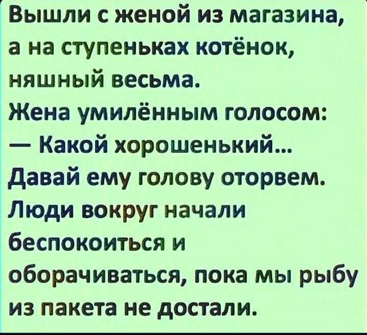 Вышли с женой из магазина 1 а на ступеньках котёнок няшный весьма 3 Жена умилённым голосом Какой хорошенький давай ему голову оторвем 3 Люди вокруг начали беспокоиться и оборачиваться пока мы рыбу из пакета не достали
