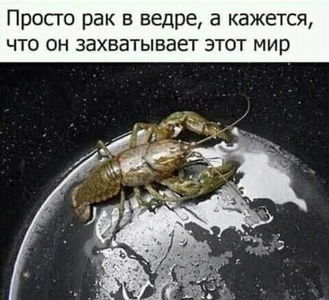 Просто рак в ведре а кажется что он захватывает этот мир