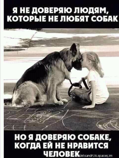 Я НЕ дОВЕРЯЮ ЛЮДЯМ КОТОРЫЕ НЕ ЛЮБЯТ СОБАК НО Я дОВЕРЯЮ СОБАКЕ КОГДА ЕЙ НРАВИТСЯ Ч ШОВЕШжимА