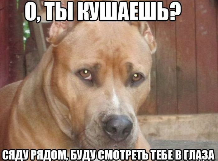 Такси не ходил руль мебель