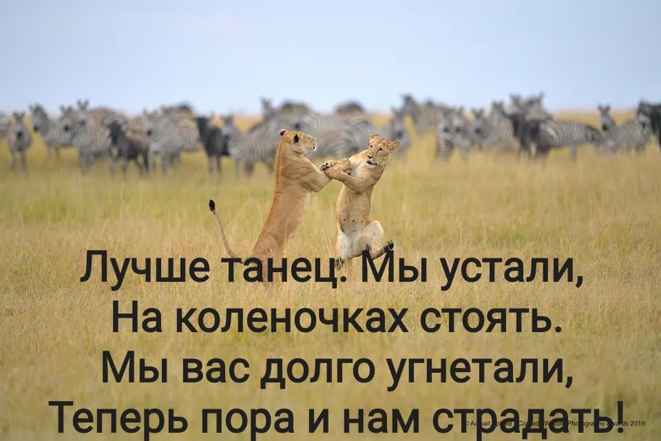 Зуй _ ітчъ Лучше таНецчМ ы устали На коленочках стоять Мы вас долго угнетали Теперь пора и нам страдатЬЩ