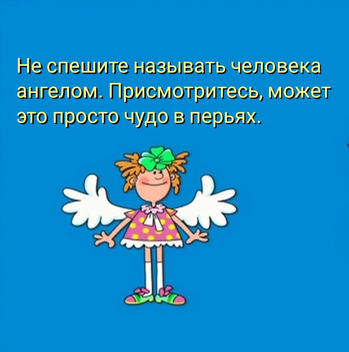 Не спешите называть человека ангелом Присмотритесь может это просто чудо в перьях