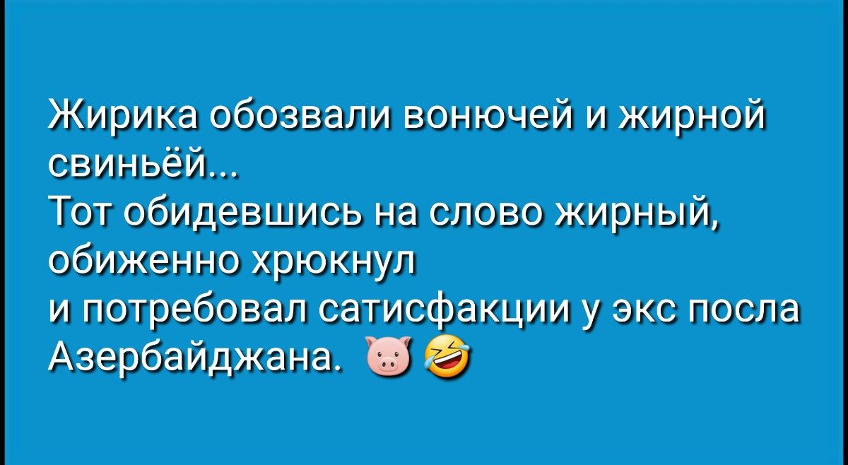 Жирика обозвали вонючей и жирной свиньёй Тот обидевшись на слово жирный обиженно хрюкнул и потребовал оатисфакции у экс после Азербайджана