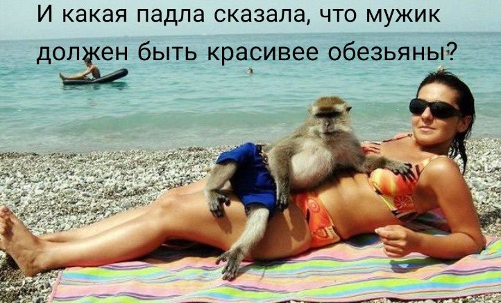 И КЭКЭЯ ПЭДЛЭ СКЭЗЭЛЭ ЧТО МУЖИК дОЛЖеНбЫТ красивее обезьяны