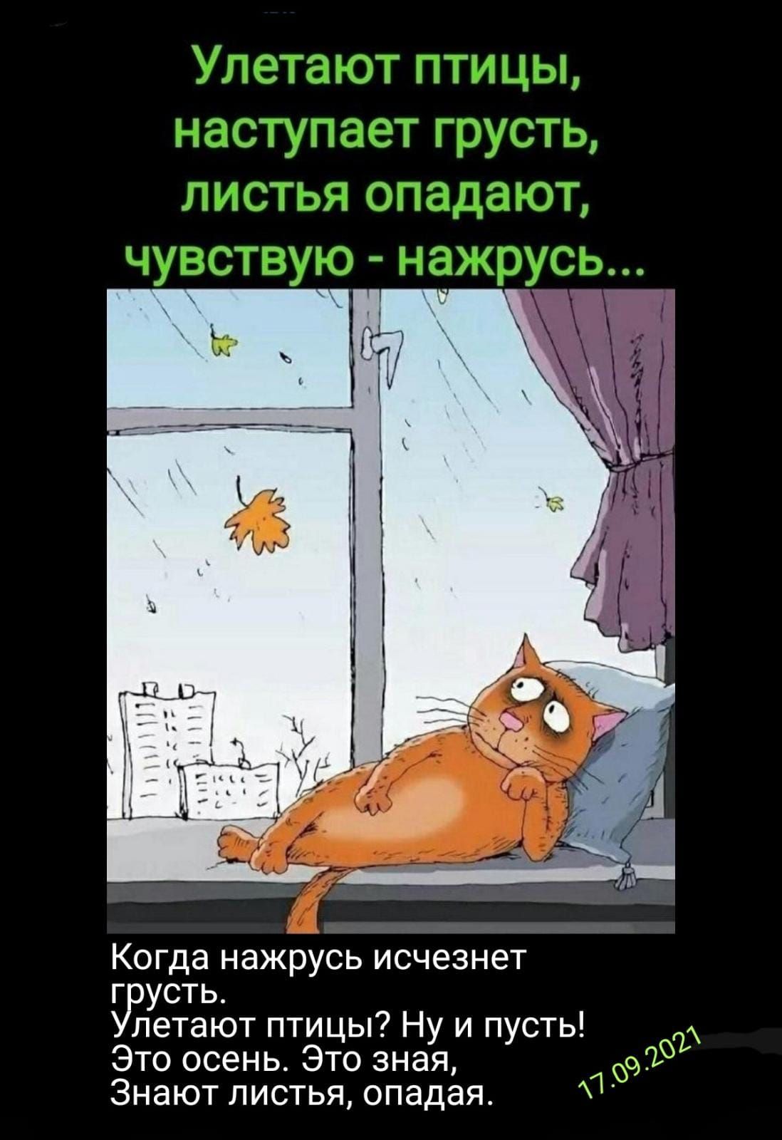 Когда нажрусь исчезнет г усть летают птицы Ну и пусть Это осень Это зная Знают листья опадая