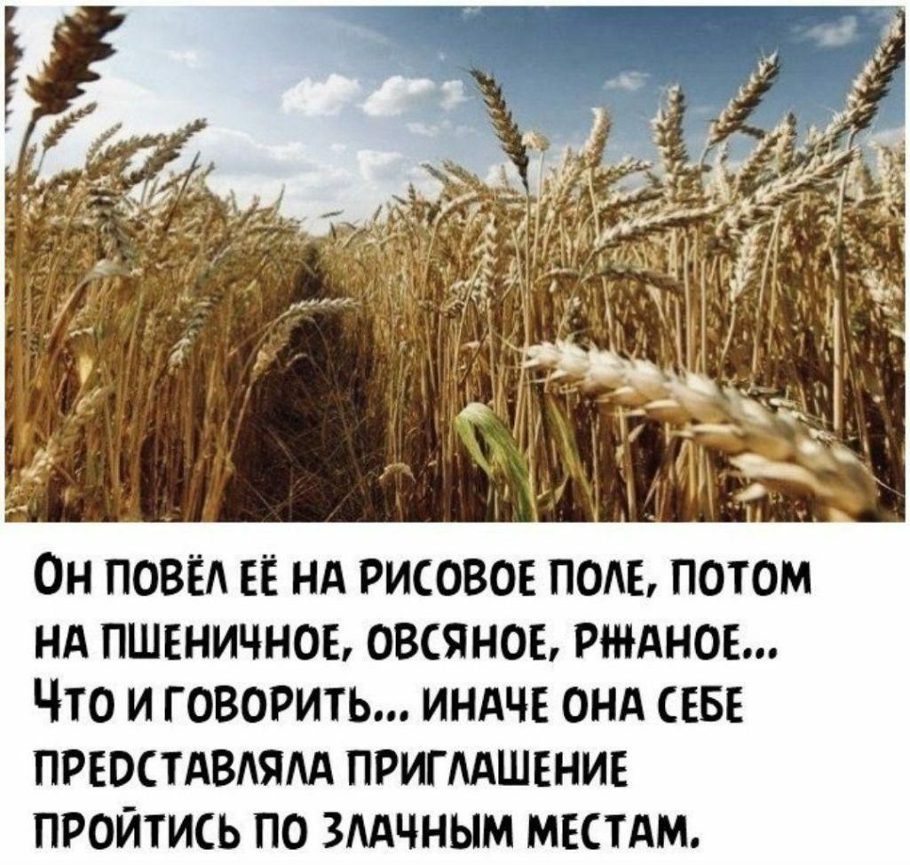 Он ПОВЁА ЕЁ нд рисовое пом потом нд пшеничное овсяное гимнов Что и говорить индче онд СЕБЕ преостдвтям пригмшвние пройтись по змчным МЕСТАМ