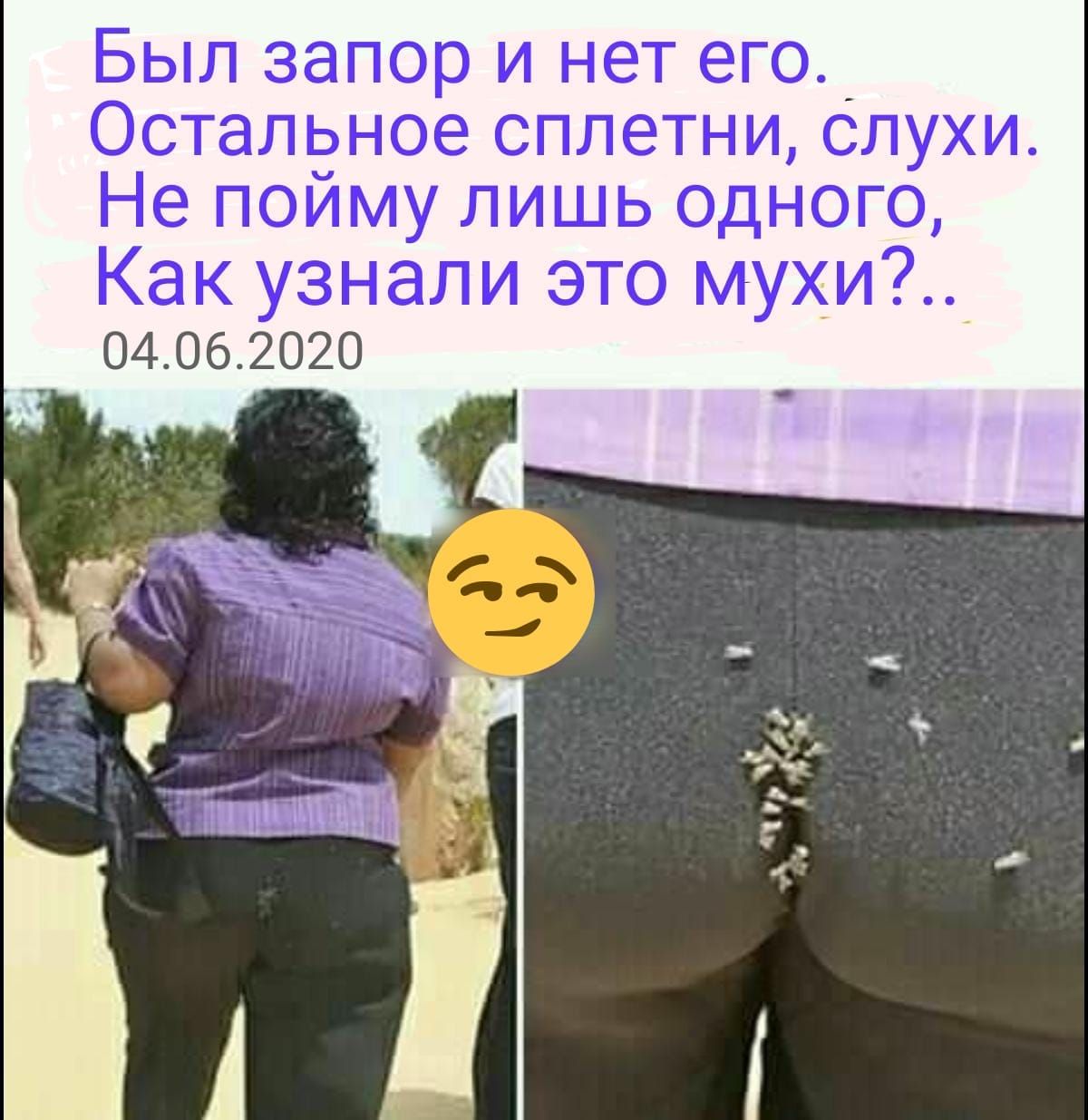 Был запор и нет его_ Осталёное сплетни слухи Не поиму лишь одного Как узнали это мухи 04062020