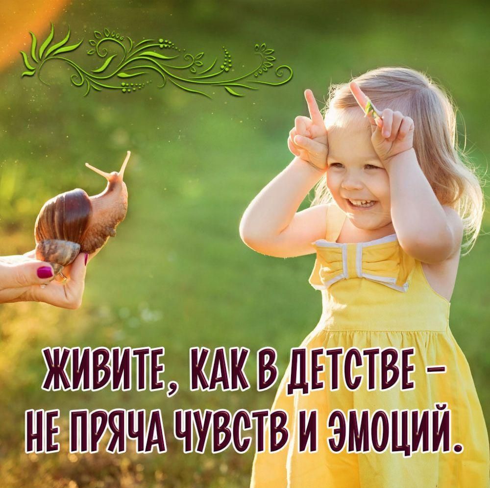 шттчувс