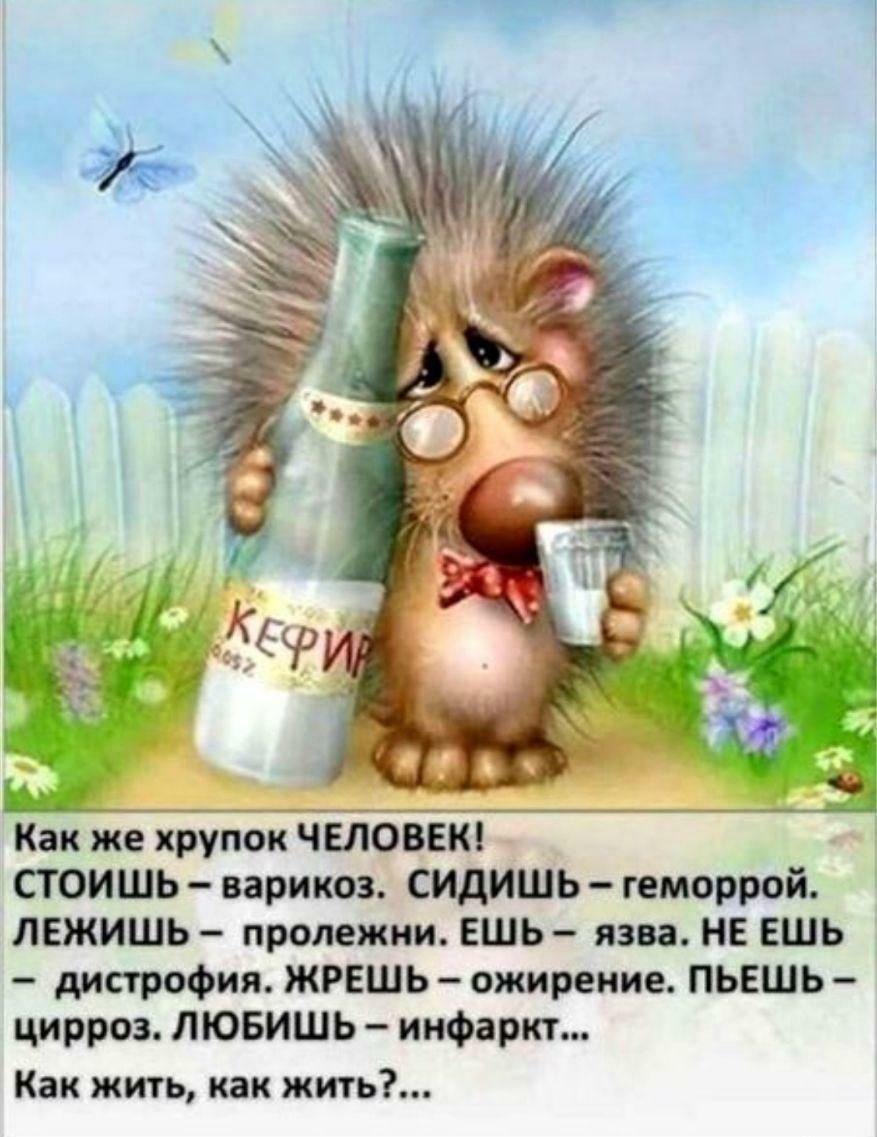 Как же хрупок ЧЕЛОВЕК стоишь варикоз сидишь геморрой ЛЕЖИШЬ пролежни ЕШЬ язва НЕ ешь дистрофия ЖРЕШЬ ожирение ПЬЕШЬ цирроз ЛЮБИШЬ инфаркт Как жить как жить