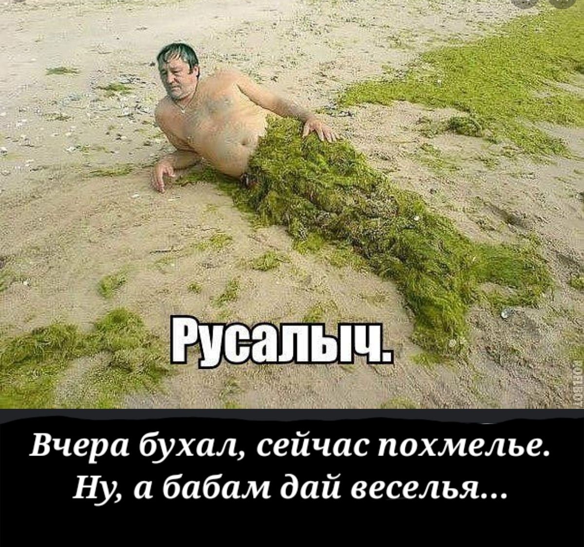 Вчера бухал сейчас похмелье Ну а бабам дай веселья