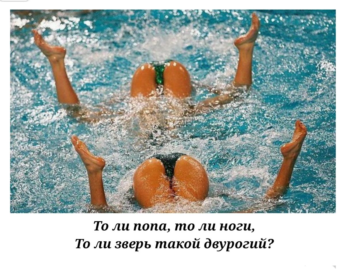 То ли попа то ли ноги То ли зверь такой двурогий