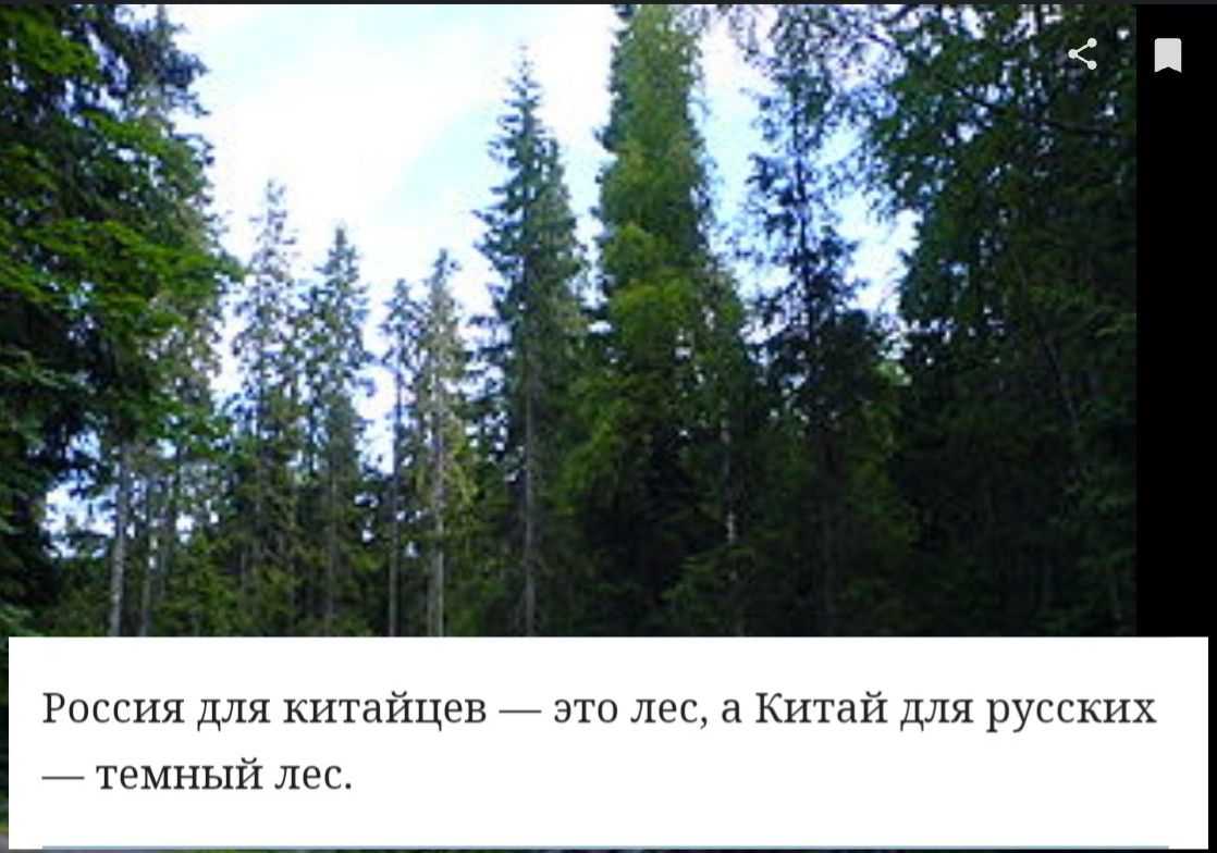 1 чтит Россия для китайцев это лес Китай для русских темный лес