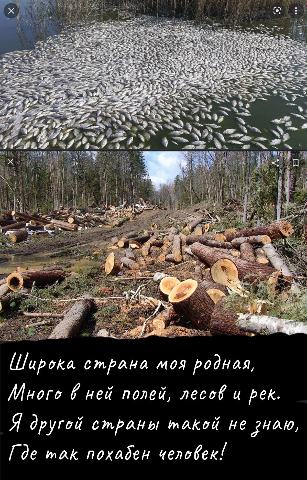 Ширма страна моя видная Многа дней полей леса эе Я другой смуты мати неуиш Где гии пах45ен целой