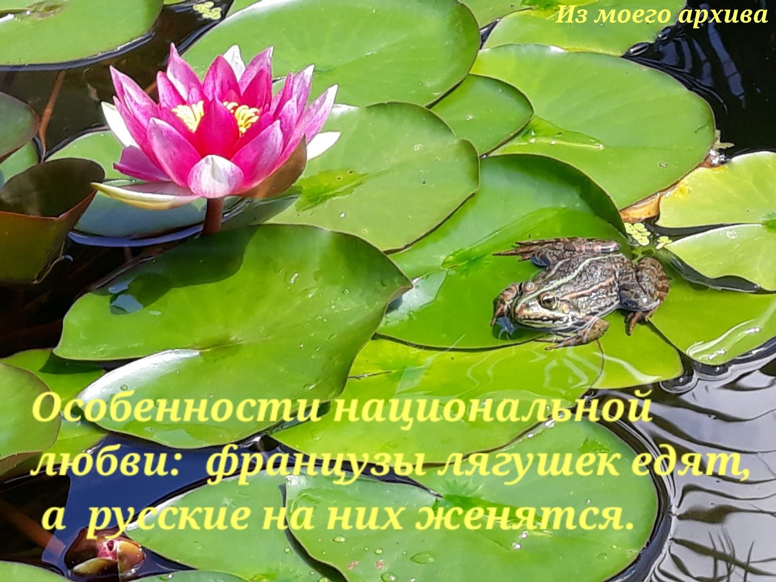 а а Обви 25