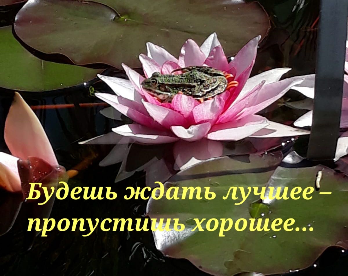 _а Будешь жРшпЁЩЕЁее пропустиорошее