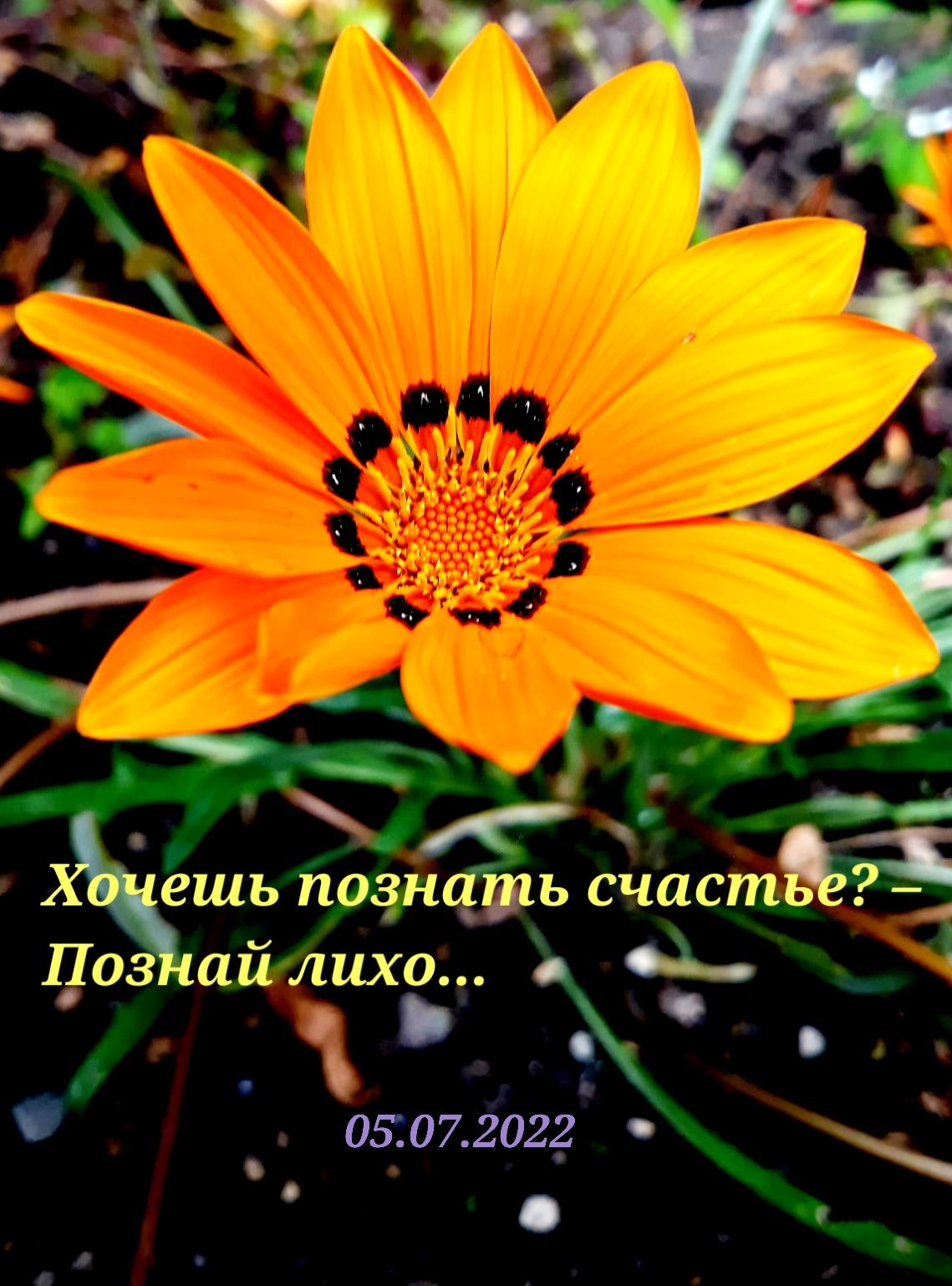 _ шь познать ждшстё Паз пи лихо а