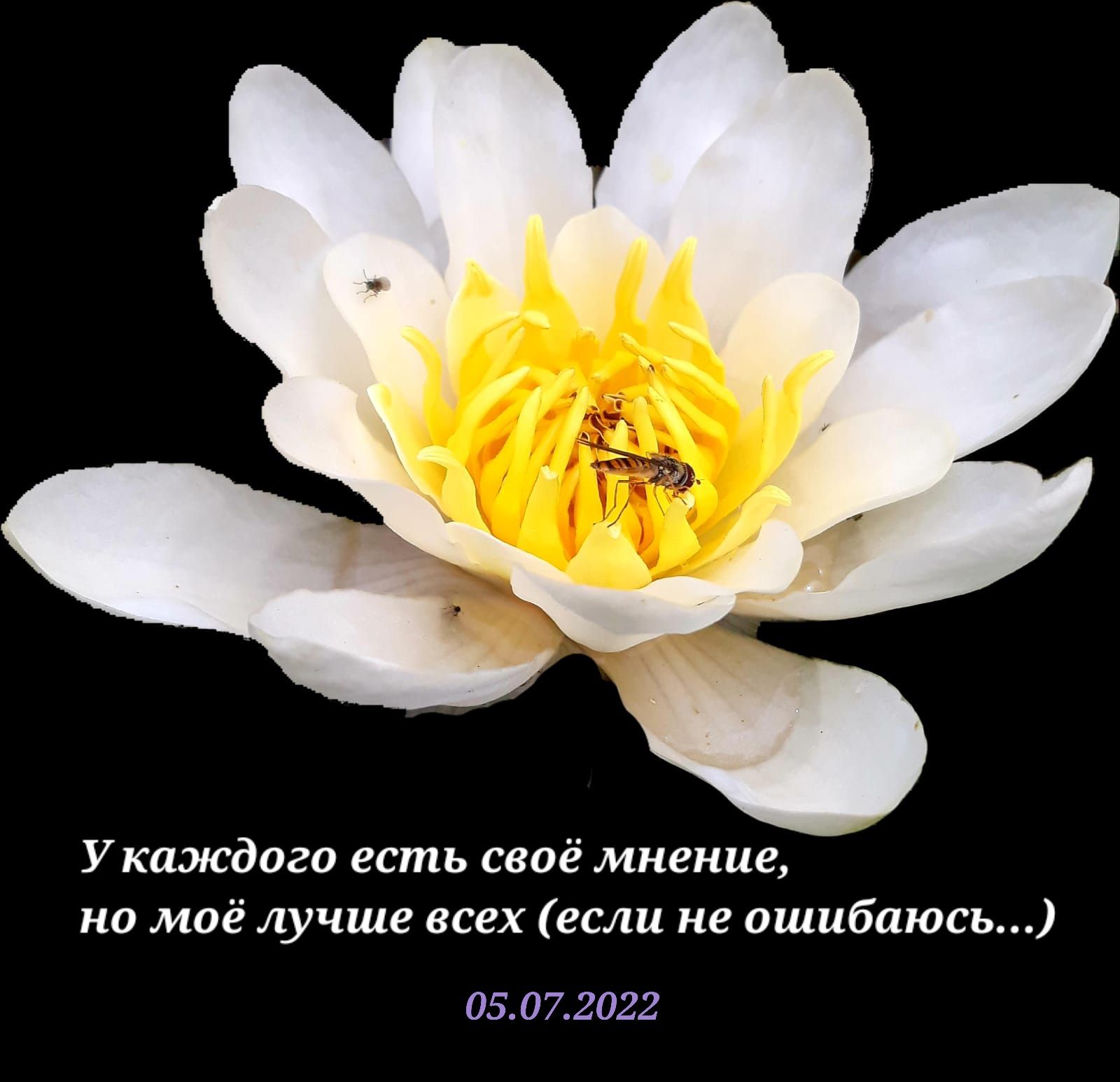 Укаэкдого есть своё мнение но мпё лучше всех если не ишибпюсь 05072022