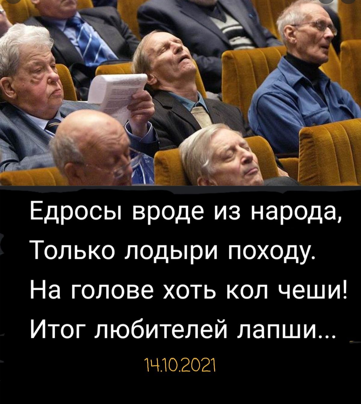 Едросы вроде из народа Только лодыри походу На голове хоть кол чеши Итог любителей лапши тчюгогт