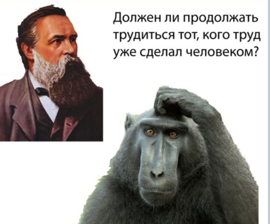 должен ли продолжать трудиться тот кого труд уже сделал человеком
